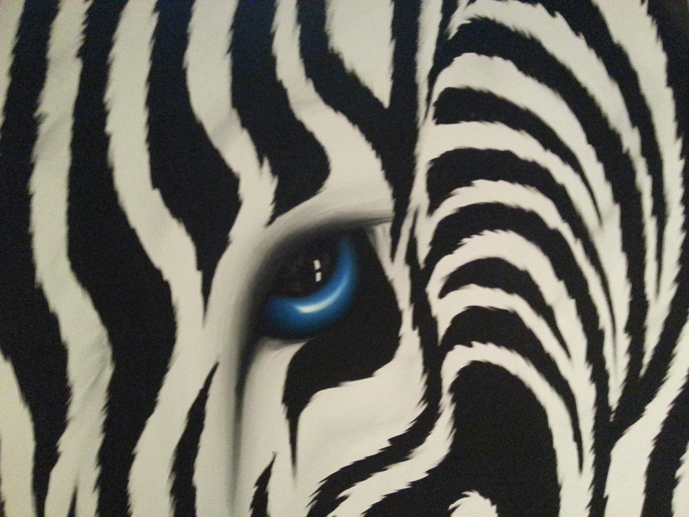 Eye Of The Zebra